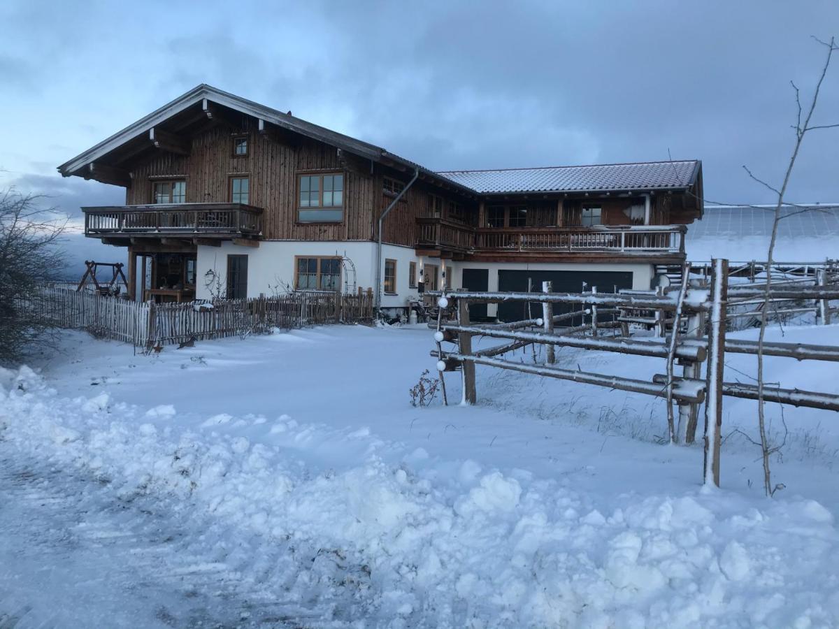 Chalet Bergliebe Brilon Eksteriør billede