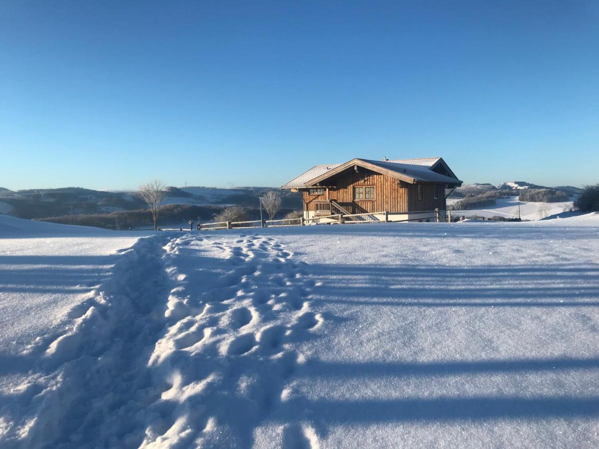 Chalet Bergliebe Brilon Eksteriør billede