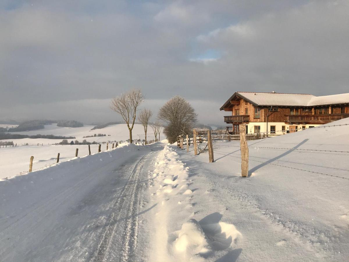 Chalet Bergliebe Brilon Eksteriør billede